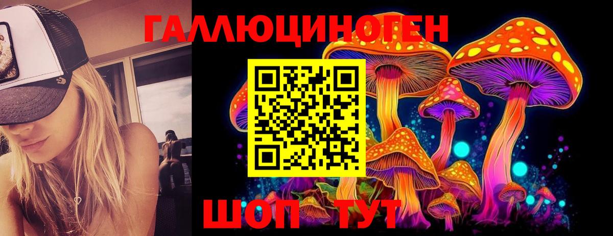 Псилоцибиновые грибы Psilocybe  Вход с VPN  наркотики  Зеленодольск 